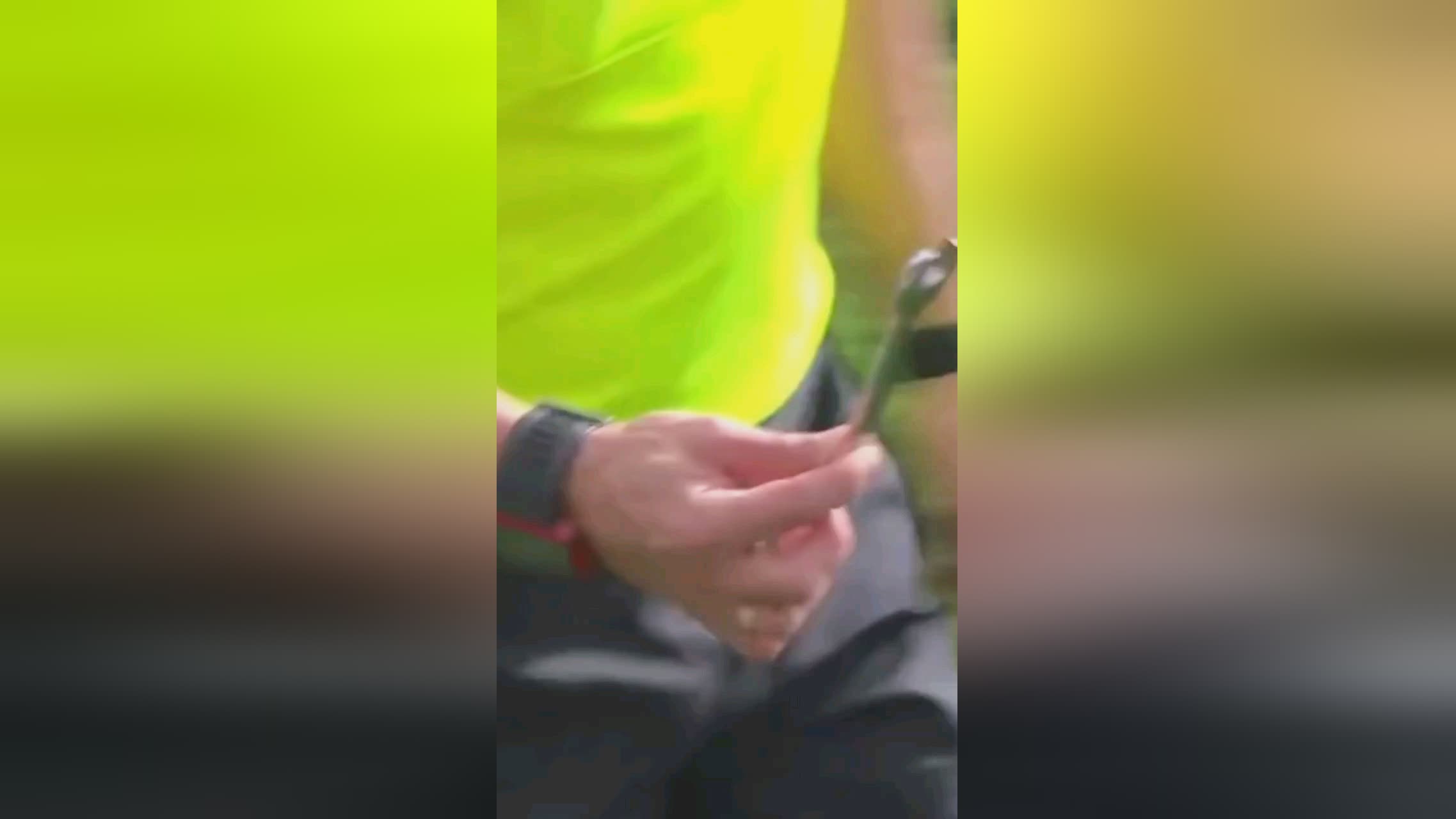 借顽强的