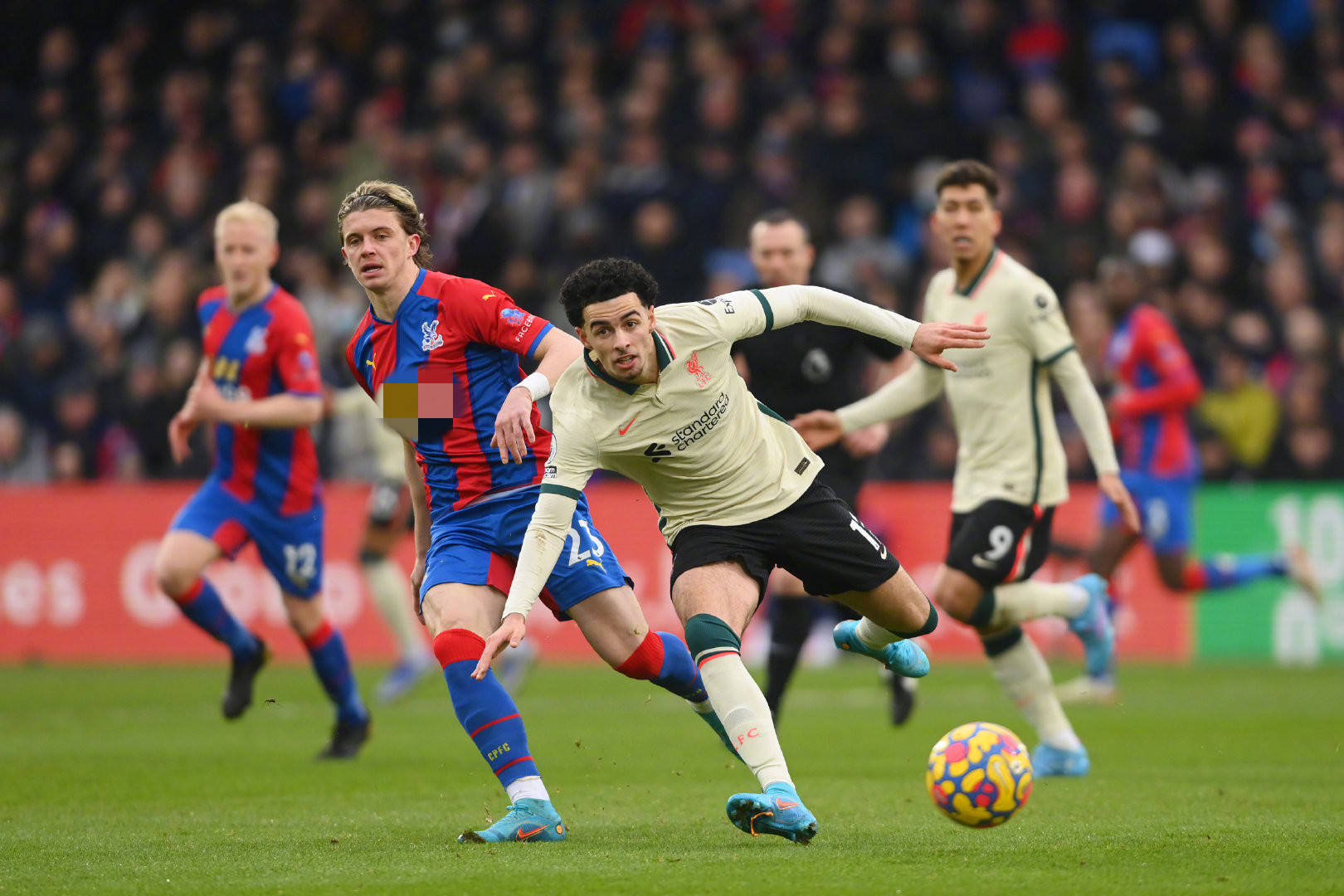 级席位的球 级席位的球